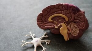 Alzheimer’s And Dementia Care : Daily Tasks