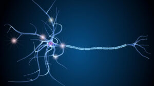 Multiple Sclerosis types, Symptom ,Cause and Risk Factor